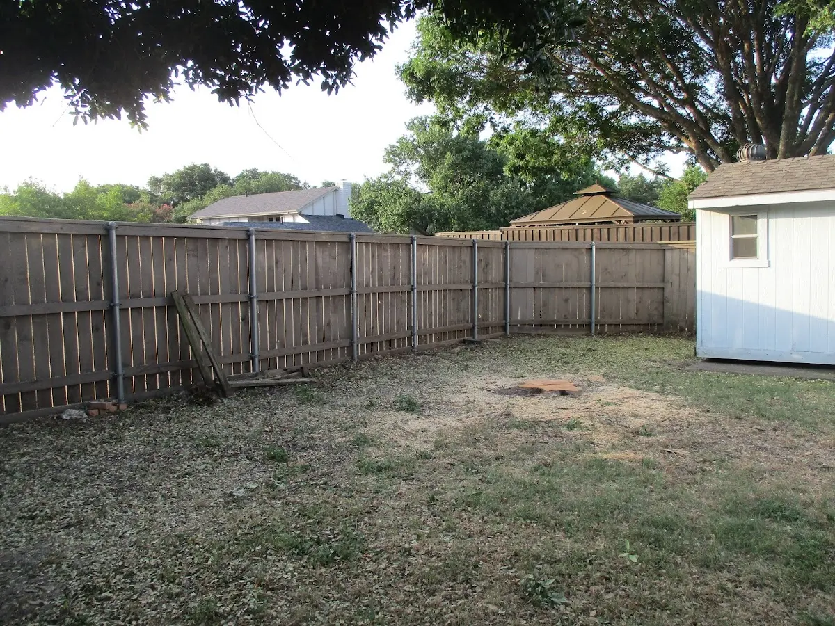 Cleared yard after professional tree removal in Pomfret Center
